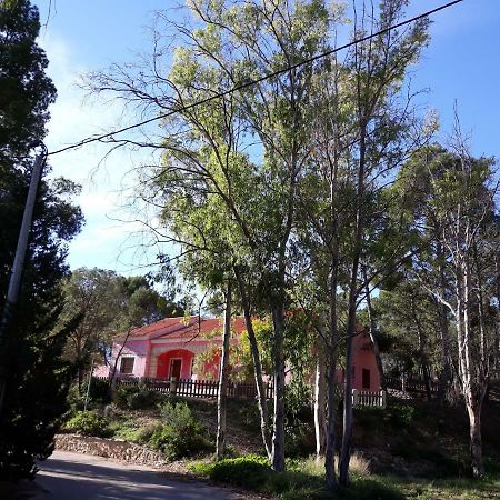 Casas Rurales "Paraje El Cajal" Ojós Extérieur photo