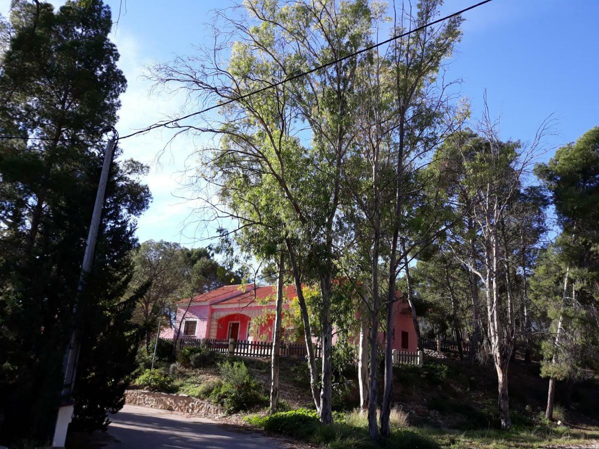 Casas Rurales "Paraje El Cajal" Ojós Extérieur photo